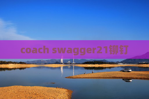 coach swagger21铆钉